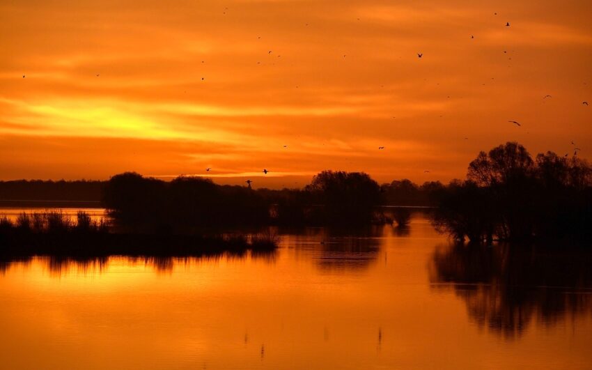 Gull øredobber med mening: Symbolikk og historier bak smykkene
